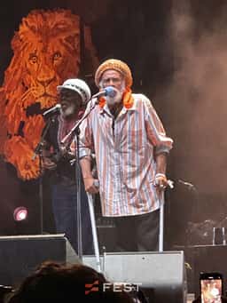 mellow.sunset8698 · Rototom Sunsplash 2026 — 4/5